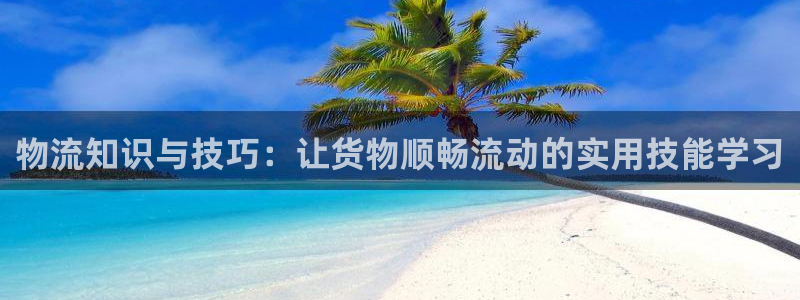豪门国际游戏：物流知识与技巧：让货物