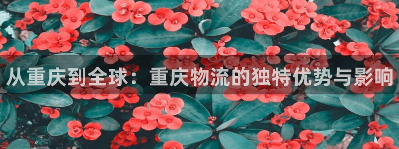 豪门国际官网多少：从重庆到全球：重庆