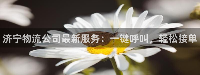 豪门国际技巧：济宁物流公司最新服务：