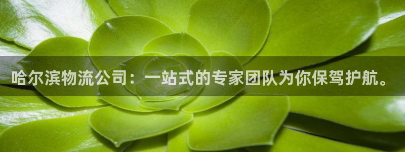 豪门国际连接：哈尔滨物流公司：一站式