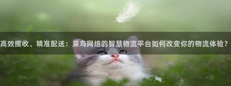 豪门国际网站平台：高效揽收、精准配送