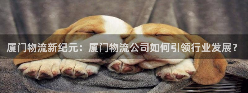 豪门国际注册入口与教程：厦门物流新纪