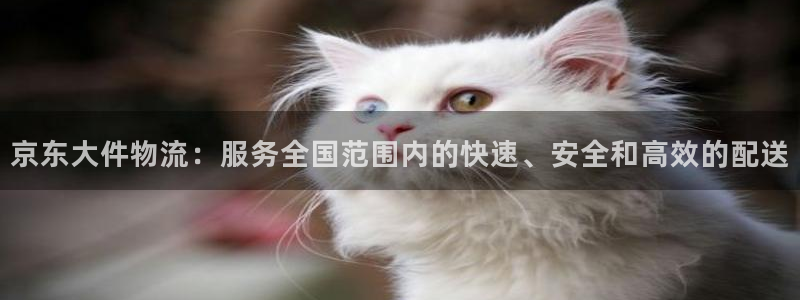豪门国际为什么没有赢过一次：京东大件