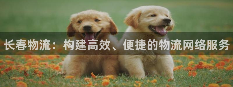 豪门国际软件是什么：长春物流：构建高