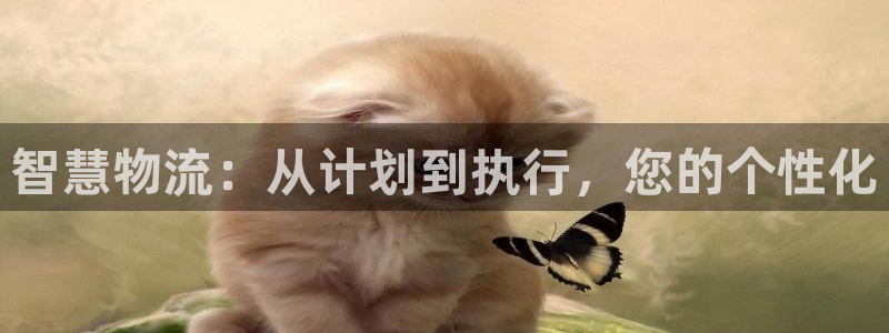豪门国际app赢了500万：智慧物流