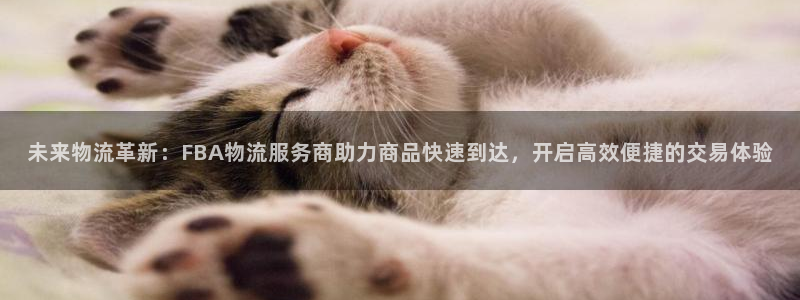 豪门国际是什么软件：未来物流革新：F