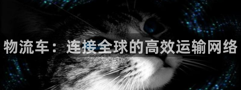 加拿大豪门国际数字规则：物流车：连接