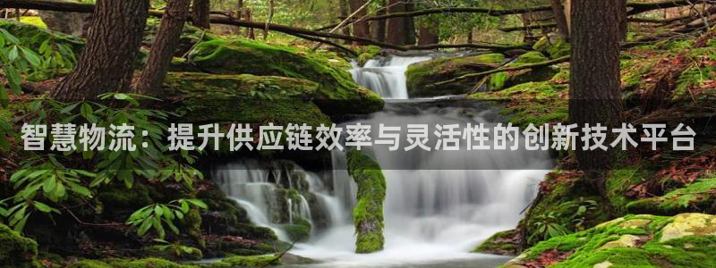 豪门国际下载链接是多少：智慧物流：提