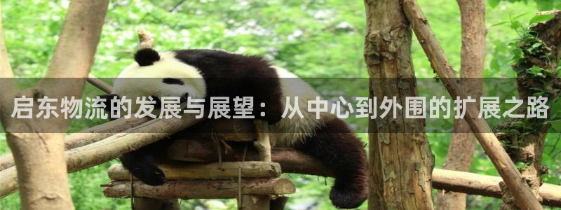 豪门国际赌博软件正规吗：启东物流的发