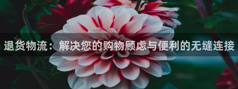 豪门国际黑不黑：退货物流：解决您的购