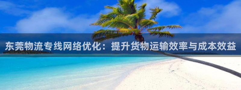 豪门国际黑钱：东莞物流专线网络优化：
