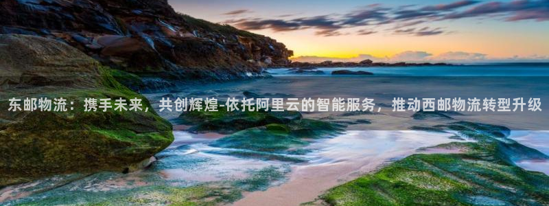 豪门国际加拿大模拟器：东邮物流：携手