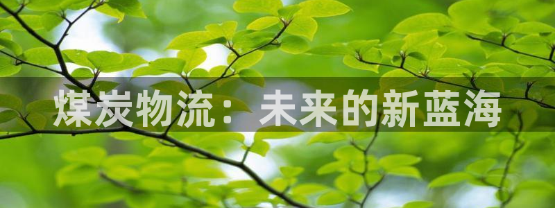 豪门国际pg如何退钱：煤炭物流：未来