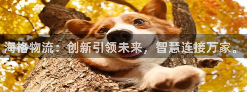豪门国际pg如何退钱：海格物流：创新引领未来，智慧连接万家。